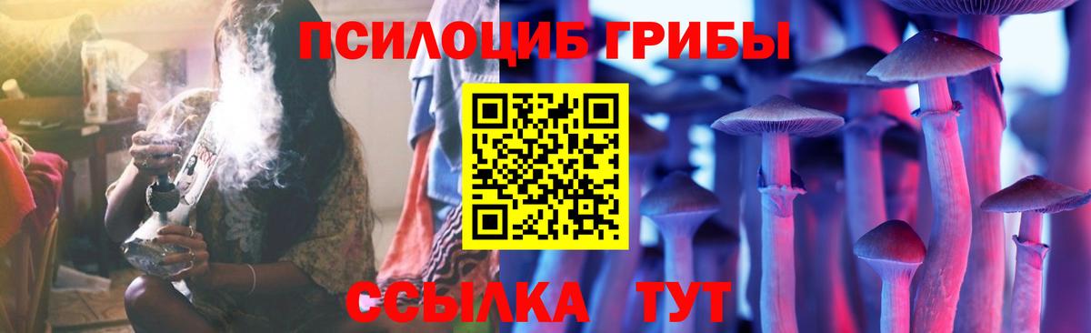 Вышний Волочёк  что такое наркотик  Псилоцибиновые грибы Cubensis  Вход с VPN  Псилоцибиновые грибы мицелий 